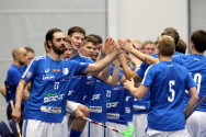 t_hyvarinenrickiesuomisalibandy2014