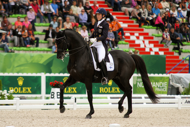 stegarsterhi20150215