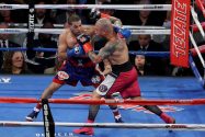 Miguel Cotto v Sadaam Ali