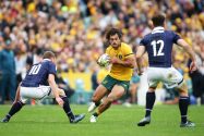 Australia v Scotland