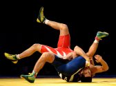 2014 FILA Freestyle Wrestling World Cup