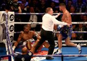David Haye v Tony Bellew