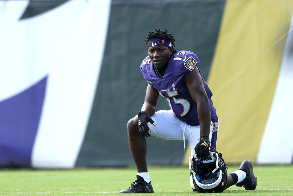 Baltimore Ravens Training Camp