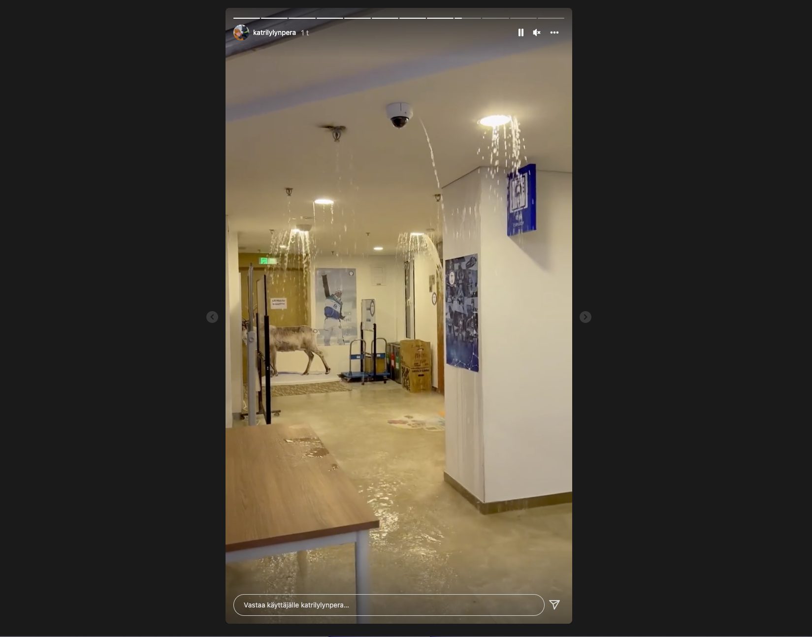 katri_lylynperä_credit_katri_lylynperä_igstories