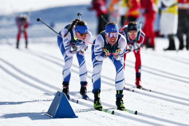 aop_niskanenkerttu30.3DTFF27