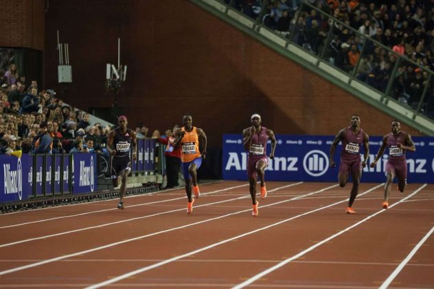 aop_satanenkuvitus2024