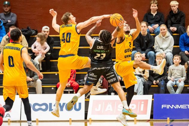 aop_helsinkiseagulls20251230