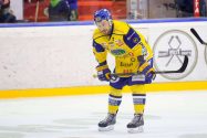 aop_skadsdammeneirik2016